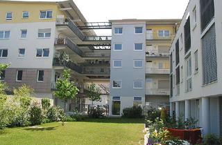 Wohnung mieten in Schulstraße 36b, 77694 Kehl, Kompakte Stadt-Wohnung im Zentrum von Kehl