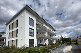 Wohnung mieten in 89555 Steinheim, Wohnkomfort inklusive: barrierefrei zugängliche 3-Zi-Whg. mit Südbalkon in Zentrumsnähe zu vermieten