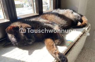 Tauschwohnungen in Tauschwohnungstraße, 07745 Ammerbach, Tauschwohnung: Kater Kasimir und ich brauchen ein bisschen mehr Platz