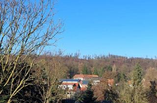 Wohnung mieten in 31707 Bad Eilsen, Gemütliche Single-Wohnung mit traumhaften Ausblick!