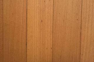 WG-Zimmer mieten in 72070 Tübingen, Nachmieter (*) gesucht für 2er-WG in TÜ-Altstadt, sehr ruhig, gr. Garten, naturnah UND zentral, NR