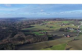 Einfamilienhaus kaufen in 49152 Bad Essen, Kindergerechtes Einfamilienhaus auf einem 4.327 m² Grundstück in landschaftlich reizvoller Lage...