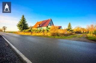 Haus kaufen in Reinstedter Straße, 06464 Frose, Hier muss noch aufgeräumt werden