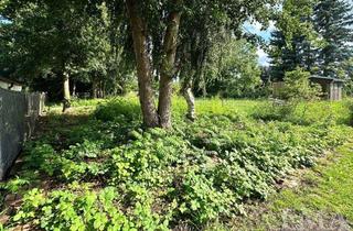 Grundstück zu kaufen in 14943 Luckenwalde, Dein Tiny-House-Traum startet hier – Grundstück mit positivem Bauvorbescheid