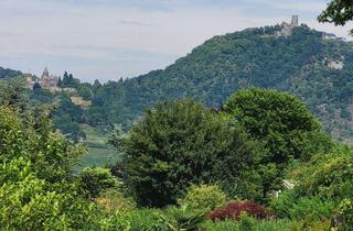Grundstück zu kaufen in 53179 Bonn, Aussichtsreich am Rodderberghang 1.698 m² Grundstück Bonn-Mehlem