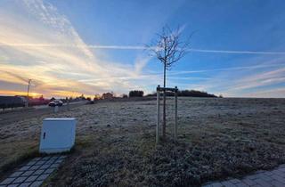 Grundstück zu kaufen in Sättelstrasse 25, 95183 Feilitzsch, Traumgrundstück in Zedtwitz