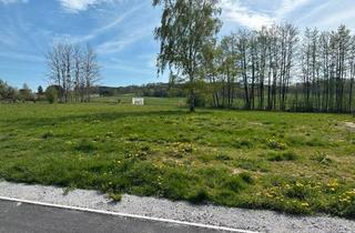 Grundstück zu kaufen in 02733 Cunewalde, Ihr Bauprojekt in bester Sonnenlage – Großzügiges Grundstück in Cunewalde mit Baugenehmigung