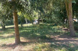 Grundstück zu kaufen in 15834 Rangsdorf, Großzügiges Baugrundstück in Toplage von Rangsdorf – direkt am Naturschutzgebiet