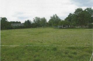 Grundstück zu kaufen in 18320 Trinwillershagen, Großzügiges Baugrundstück in idyllischer Lage von Trinwillershagen