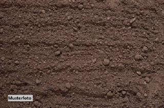 Grundstück zu kaufen in Im Kleinen Feld, 37688 Beverungen, Gartengrundstück mit Gartenlaube