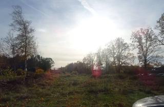 Grundstück zu kaufen in 1. Koppelweg, 38518 Gifhorn, Gifhorn: Baugrundstücke in begehrter Lage, gegenüber Baugebiet Lehmweg - Gebotsverfahren