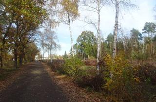 Grundstück zu kaufen in 1. Koppelweg, 38518 Gifhorn, Gifhorn: Baugrundstück in Gifhorn , 1. Koppelweg