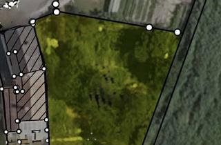 Grundstück zu kaufen in 76726 Germersheim, Seltenes Grundstück mit unverbaubarem Naturblick – Investitionschance oder Traumhaus