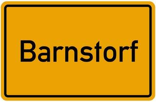 Gewerbeimmobilie kaufen in 49406 Barnstorf, Wohn- und Geschäftshaus in absoluter Top-Lage in Barnstorf.Vielseitig nutzbar.