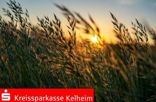 Immobilie kaufen in 93336 Altmannstein, Ackerland in der Nähe von Altmannstein