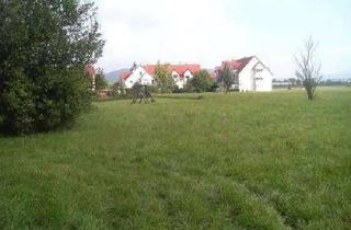 Gewerbeimmobilie kaufen in Untere Gartenstr., 96231 Bad Staffelstein, Grundstück in Bad Staffelstein zum Kauf