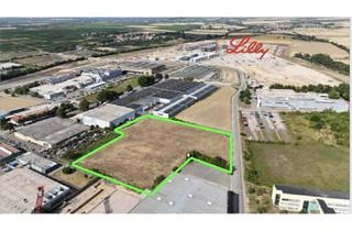 Gewerbeimmobilie mieten in 55232 Alzey, Gewerbegrundstück - Direkte Zufahrt zur Baustelle Lilly