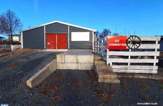 Geschäftslokal mieten in Pfaffengutstraße, 08525 Plauen, Vielseitige Gewerbehalle (283 m²) mit Rampe & LKW-Zufahrt – Ideal für Logistik & Handwerk!