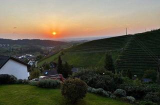 Wohnung kaufen in 77887 Sasbachwalden, Barrierefreie Erdgeschosswohnung mit Weitblick in die Vogesen - Wohnen wo andere Urlaub machen!