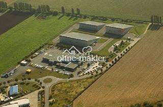 Gewerbeimmobilie mieten in 06526 Sangerhausen, 2000 m² Vega Halle in Sangerhausen, eingefriedet mit Stellplätzen