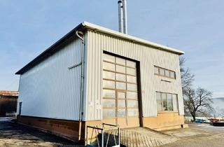 Gewerbeimmobilie mieten in Hirschhorner Straße 90, 64743 Beerfelden, Großzügige Lager- & Werkstattfläche – flexibel nutzbar!