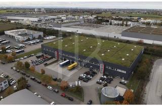 Gewerbeimmobilie mieten in 69469 Weinheim, "BAUMÜLLER AG" - ca. 7.500 m² Logistikhalle - PROVISIONSFREI im Alleinauftrag