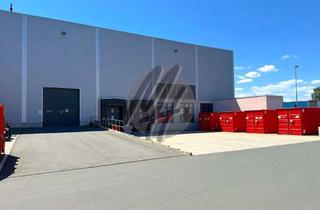 Büro zu mieten in 55411 Bingen, SCHNELL VERFÜGBAR ✓ Lager-/Logistik (5.000 m²) & Büro (1.000 m²) zu vermieten