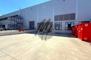 Büro zu mieten in 55126 Finthen, SCHNELL VERFÜGBAR ✓ Lager-/Logistik (5.000 m²) & Büro (1.000 m²) zu vermieten