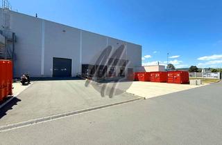 Büro zu mieten in 55543 Bad Kreuznach, SCHNELL VERFÜGBAR ✓ Lager-/Logistik (5.000 m²) & Büro (1.000 m²) zu vermieten