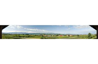 Grundstück zu kaufen in 88142 Wasserburg, Seltene Chance am Bodensee: Panoramagrundstück mit See- & Alpenblick in der Nähe von Wasserburg