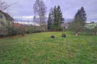 Grundstück zu kaufen in 02681 Schirgiswalde, Großzügiges Baugrundstück im Ortskern