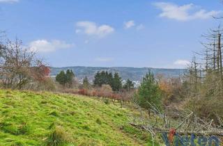 Grundstück zu kaufen in 53937 Schleiden, Traumhafter Talblick - großes Hanggrundstück mit Abrissobjekt, Wiesen- und Waldfläche in Scheuren