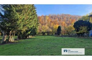 Grundstück zu kaufen in 37671 Höxter, Großzügiges Grundstück mit viel Platz für Ihre Ideen