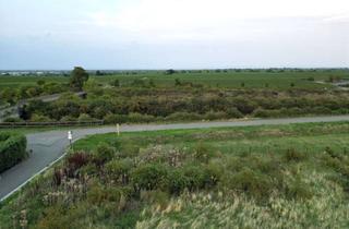 Grundstück zu kaufen in Holunderring 13, 67098 Bad Dürkheim, Seltenheit im Fronhof: Attraktives Grundstück in begehrter Randlage