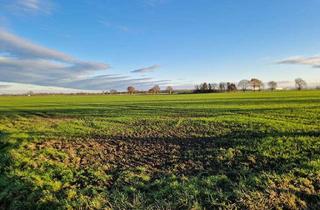 Gewerbeimmobilie kaufen in 59457 Werl, Investition in Boden: Ackerfläche in Werl-Sönnern zu verkaufen!