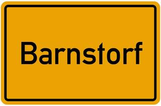 Haus kaufen in 49406 Barnstorf, Wohn- und Geschäftshaus in absoluter Top-Lage in Barnstorf. Vielseitig nutzbar.