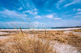 Lager kaufen in 23942 Dassow, Einzigartiges Anwesen mit eigenem B-Plan