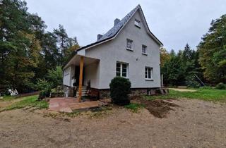 Einfamilienhaus kaufen in 21266 Jesteburg, Jesteburg - Freistehendes Einfamilienhaus zu verkaufen