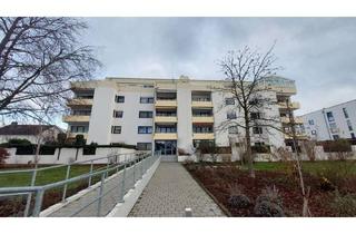 Penthouse kaufen in 63796 Kahl, Penthouse mit Dachgarten & toller Aussicht