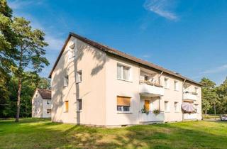 Wohnung mieten in Goerdelerstraße, 29223 Celle, 1-Zimmer-Singlewohnung zum 01.02.2026 zu vermieten!