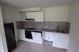 Wohnung mieten in 79423 Heitersheim, frisch renovierte 1-Zimmer-Wohnung mit EBK in Heitersheim zu vermieten