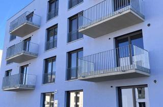 Wohnung mieten in Emma-Ihrer-Str. 15A, 15711 Königs Wusterhausen, Erstbezug 54 m² 2 Zi. Balkon