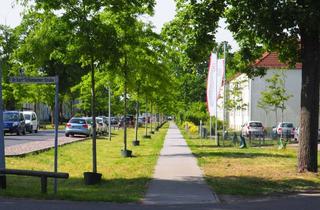 Wohnung mieten in Dr.-Kurt-Schumacher-Straße, 16515 Oranienburg, 2 Zimmerwohnung im Altbau