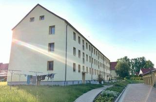 Wohnung mieten in Hauptstraße 44, 18519 Miltzow, Wunderschöne 2-Zimmer-Wohnung im Erdgeschoss mit Garage in Reinkenhagen