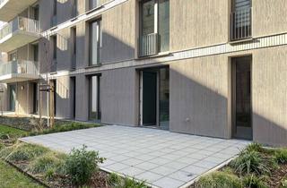 Wohnung mieten in Ludwig-Wucherer-Straße 44 b, 06108 Paulusviertel, Terrassenwohnung im Neubau