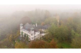 Haus kaufen in 93107 Thalmassing, Herrschaftliches Schlossanwesen mit Parklandschaft