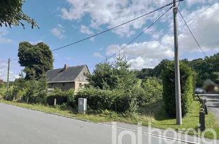 Haus kaufen in 01920 Steina, +++ Schönes Baugrundstück im Dornröschenschlaf +++