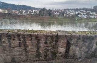 Haus kaufen in 69434 Hirschhorn, Charmantes Haus mit herrlichen Neckarblick