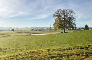 Haus kaufen in 87648 Aitrang, Traumhafte Aussichten!
