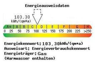 Wohnung mieten in Robert-Koch-Straße, 08529 Plauen, modern geschnittene, helle 3 Zimmerwohnung in guter Lage mit Einbauküche